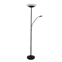 EDEN Dimmable Mother & Child Floor Lamp