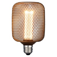 4w E27 1800K 135lms Cylinder LED Mesh Metal Decorative Globe