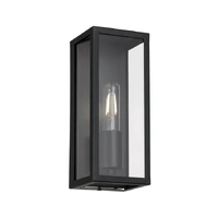 ARZANO 1lt 250mm Clear Glass IP43 Exterior Wall Light