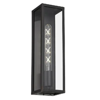 ARZANO 1lt 350mm Clear Glass IP43 Exterior Wall Light