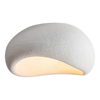 CARDINAL 1lt 500mm Polymer Resin Wall Light
