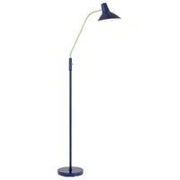 FARBON 1lt Adjustable Floor Lamp
