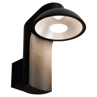 KILLDEER 12w IP65 LED Adjustable/Swivel Exterior Wall Light