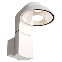 KILLDEER 12w IP65 LED Adjustable/Swivel Exterior Wall Light