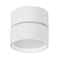 DIAZ 1lt 12w Tricolour Surface Mounted LED Adjustable Downlight