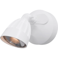 NIGHTHAWK 1lt 15w IP65 Exterior Spotlight