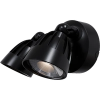 NIGHTHAWK 2lt 30w IP65 Exterior Spotlight with Sensor
