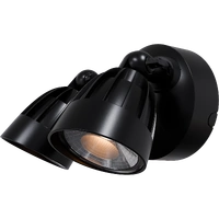 NIGHTHAWK 2lt 30w IP65 Exterior Spotlight