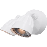 NIGHTHAWK 2lt 30w IP65 Exterior Spotlight