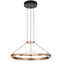 OSTROM 30w Dimmable LED Flex Pendant