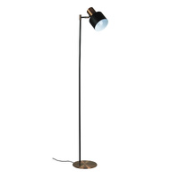 ARI 1lt Adjustable Floor Lamp