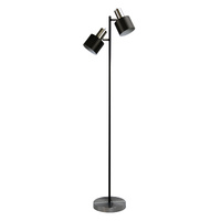 ARI 2lt Adjustable Floor Lamp