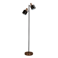 ARI 2lt Adjustable Floor Lamp