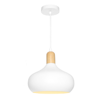 SLOAN 1lt 240mm Timber Metal Flex Pendant